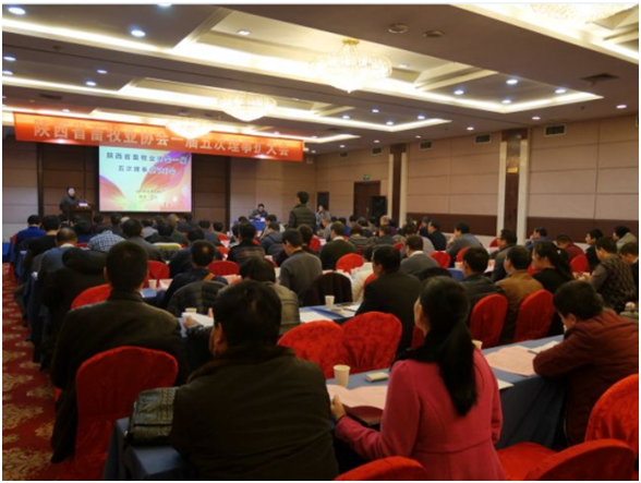 20170125144117271727