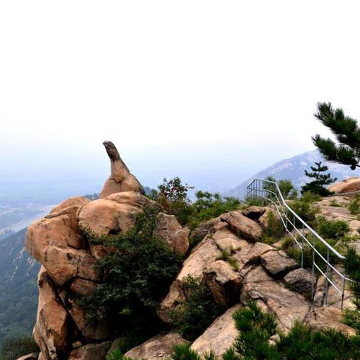 20190422104387078707