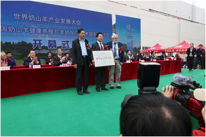 008PG����(�й���)-�ٷ���վ