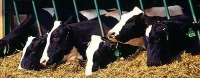 008PG����(�й���)-�ٷ���վ