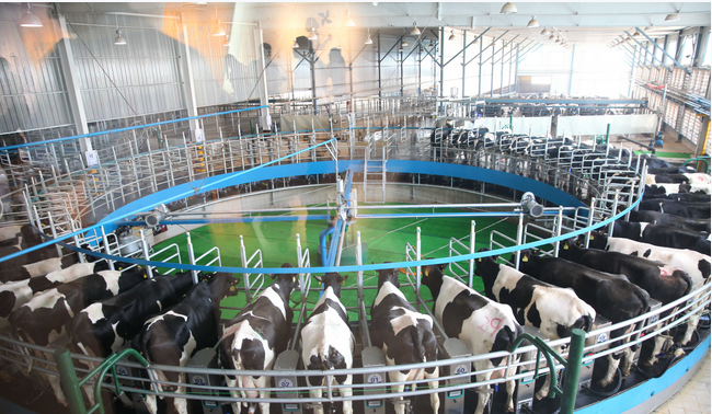 008PG����(�й���)-�ٷ���վ