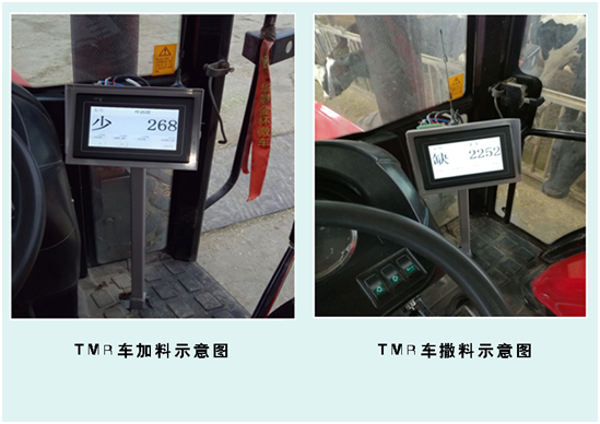 008PG����(�й���)-�ٷ���վ