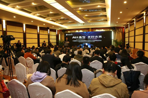 008PG����(�й���)-�ٷ���վ