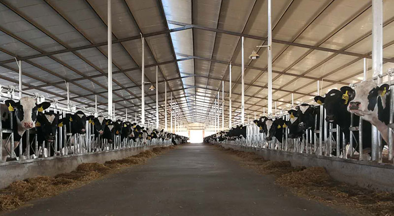 008PG����(�й���)-�ٷ���վ