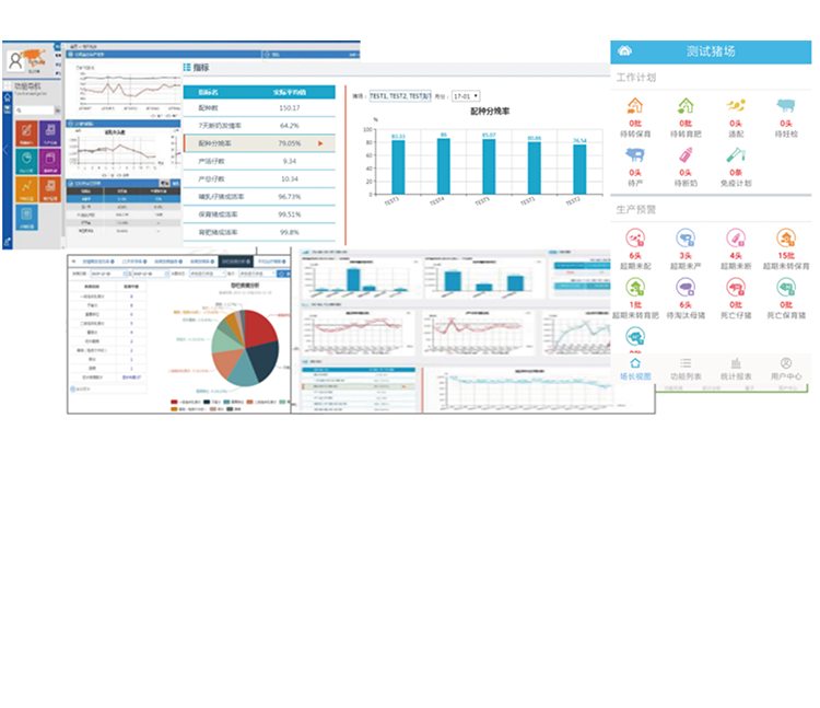 008PG����(�й���)-�ٷ���վ