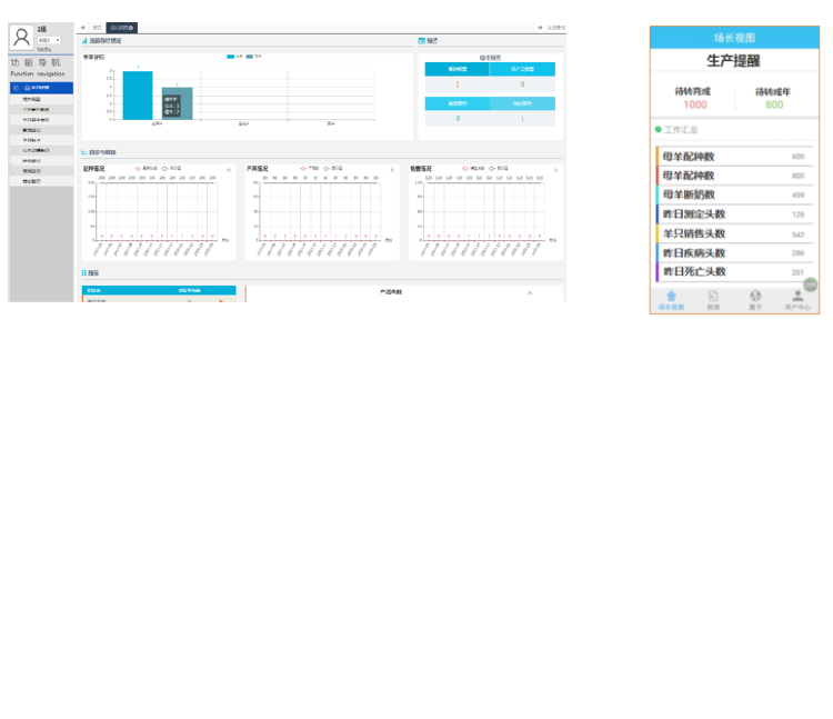 008PG����(�й���)-�ٷ���վ