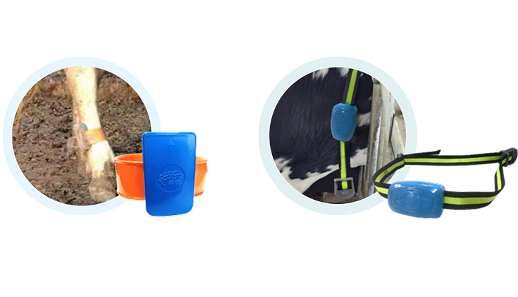 008PG����(�й���)-�ٷ���վ