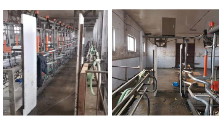 008PG����(�й���)-�ٷ���վ