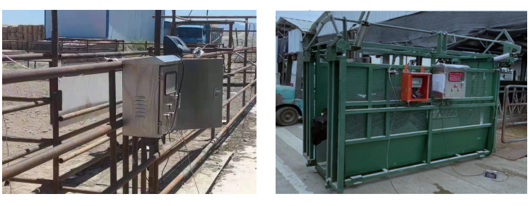 008PG����(�й���)-�ٷ���վ