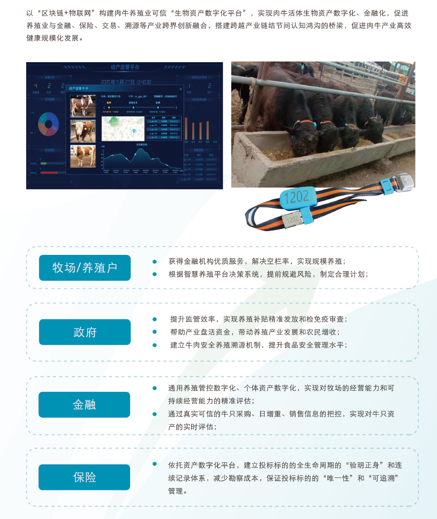 008PG����(�й���)-�ٷ���վ