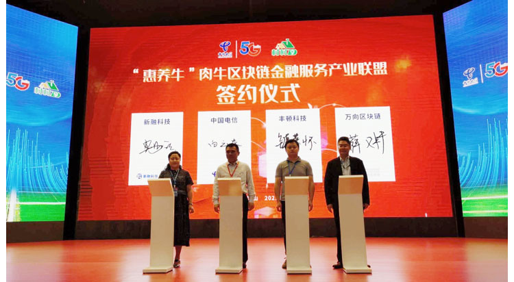 008PG����(�й���)-�ٷ���վ