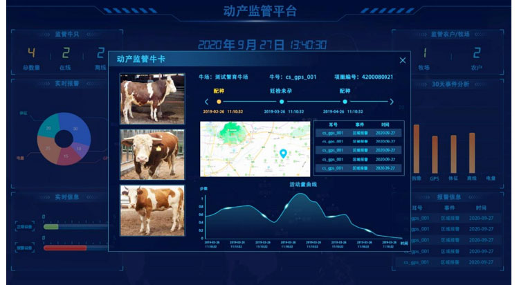 008PG����(�й���)-�ٷ���վ