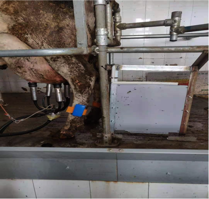 008PG����(�й���)-�ٷ���վ