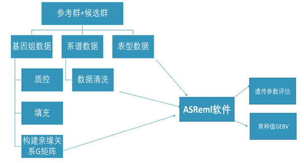 008PG����(�й���)-�ٷ���վ