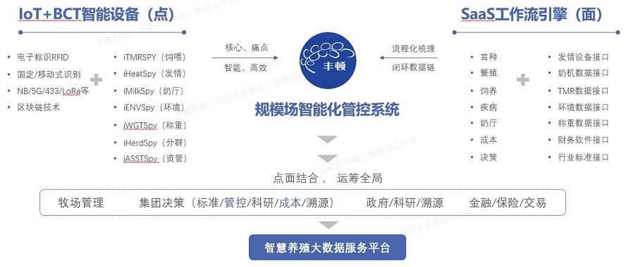 008PG����(�й���)-�ٷ���վ