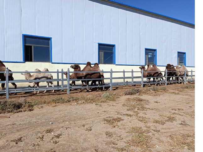 008PG����(�й���)-�ٷ���վ