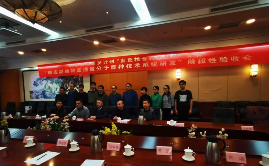 008PG����(�й���)-�ٷ���վ