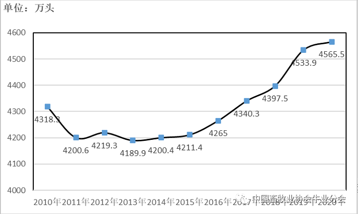 008PG����(�й���)-�ٷ���վ