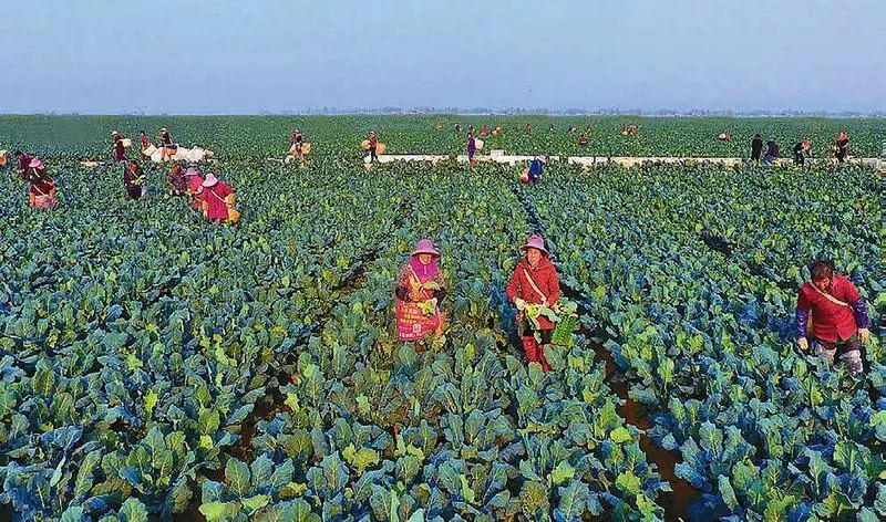 008PG����(�й���)-�ٷ���վ