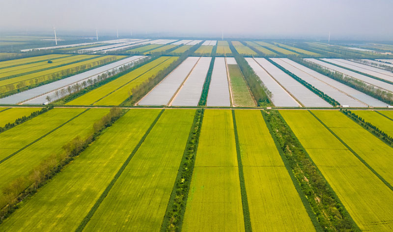 008PG����(�й���)-�ٷ���վ