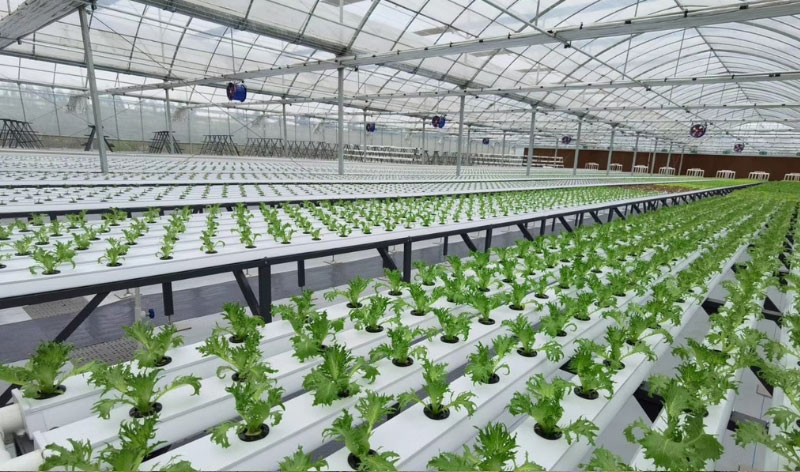 008PG����(�й���)-�ٷ���վ