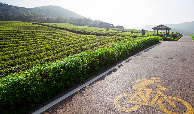 008PG����(�й���)-�ٷ���վ