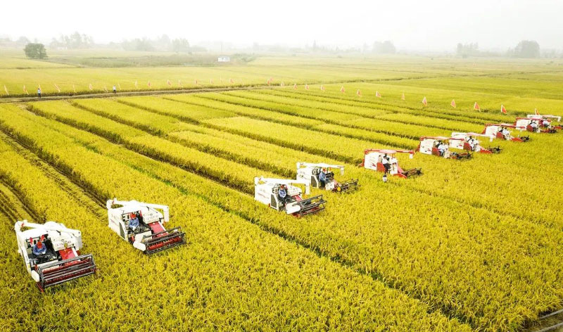 008PG����(�й���)-�ٷ���վ