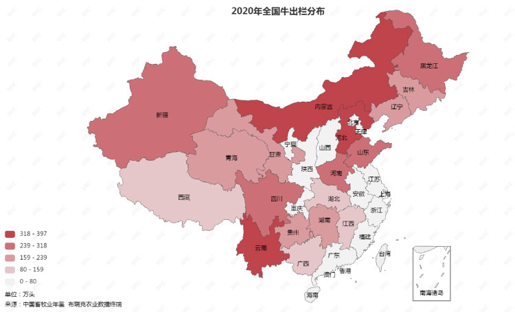 008PG����(�й���)-�ٷ���վ