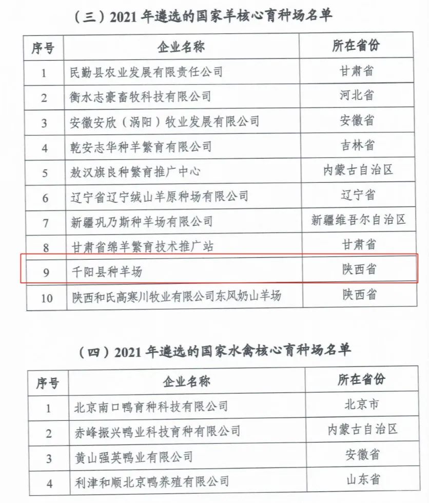 008PG����(�й���)-�ٷ���վ