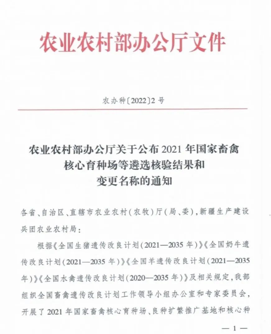 008PG����(�й���)-�ٷ���վ