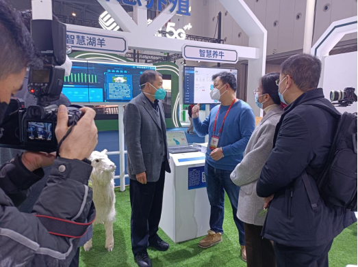 008PG����(�й���)-�ٷ���վ