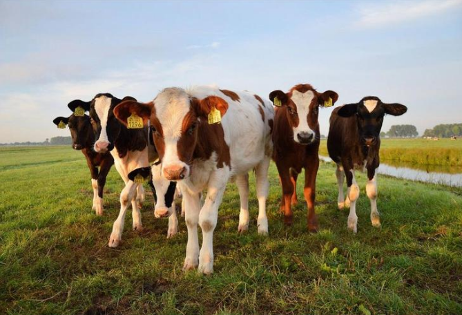 008PG����(�й���)-�ٷ���վ