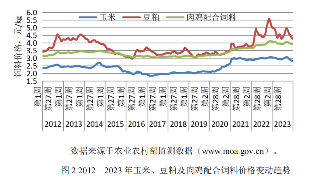 008PG����(�й���)-�ٷ���վ