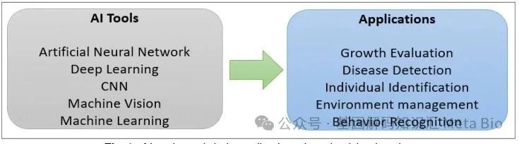 008PG����(�й���)-�ٷ���վ