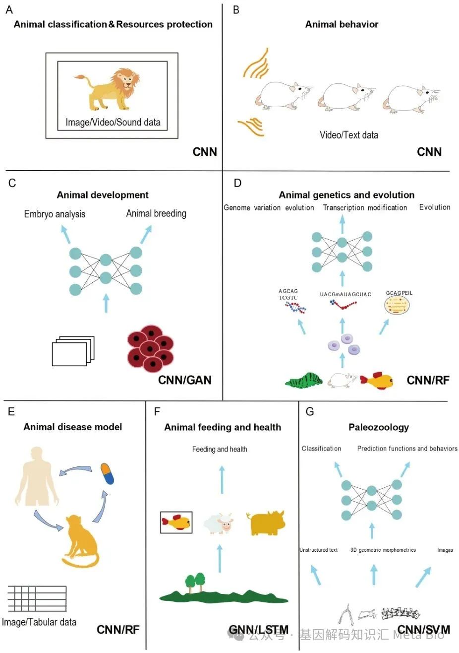 008PG����(�й���)-�ٷ���վ