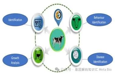 008PG����(�й���)-�ٷ���վ