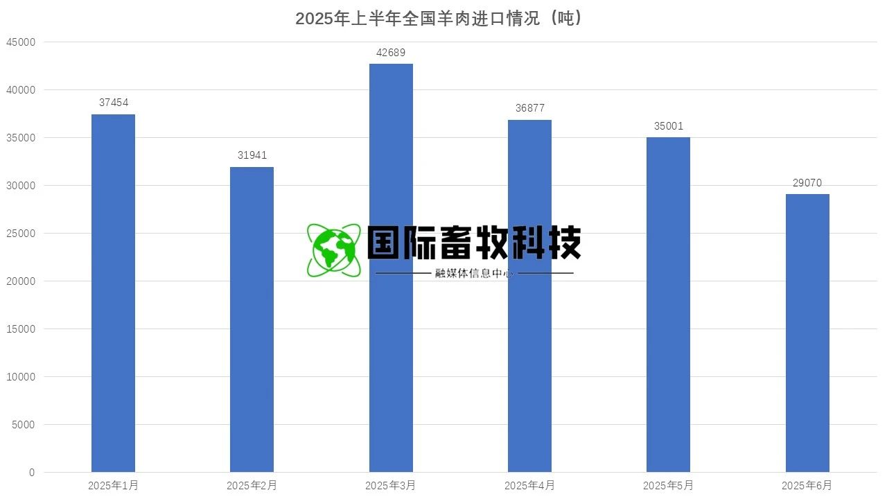 008PG����(�й���)-�ٷ���վ