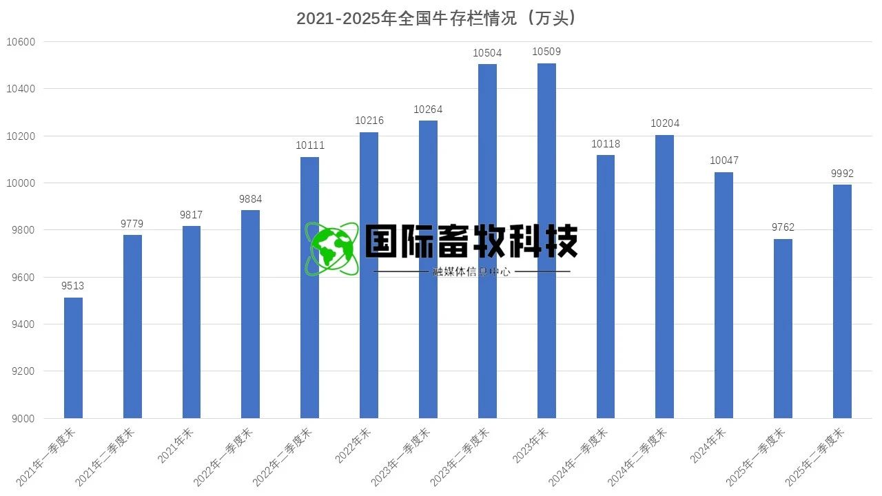 008PG����(�й���)-�ٷ���վ