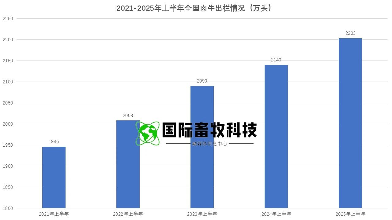 008PG����(�й���)-�ٷ���վ